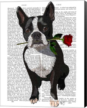 Framed Boston Terrier with Rose in Mouth Print