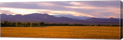 Framed Bosque Del Apache National Wildlife Refuge, New Mexico Print