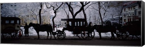 Framed Horse Drawn Carriages, Chicago, Illinois Print