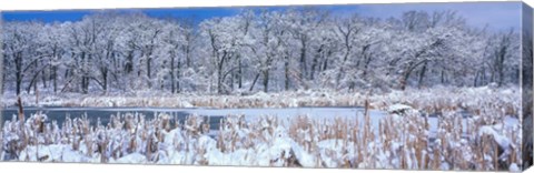 Framed Winter in Illinois Print