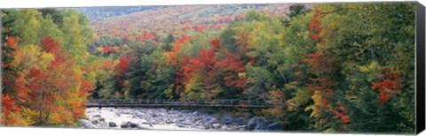 Framed White Mountain National Forest, NH Print