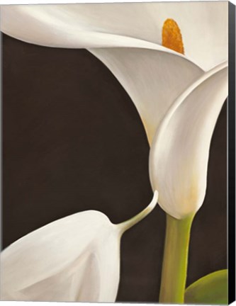 Framed Calla Moderna I Print