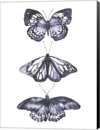 Framed Monochrome Butterflies II Print