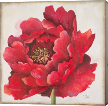 Framed Red Peony Print