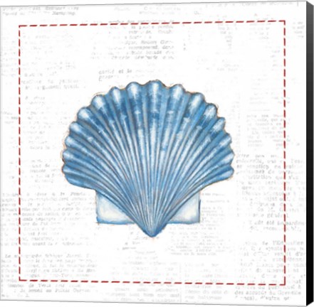 Framed Navy Scallop Shell on Newsprint with Red Print