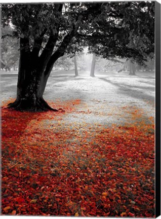 Framed Autumn Contrast Print