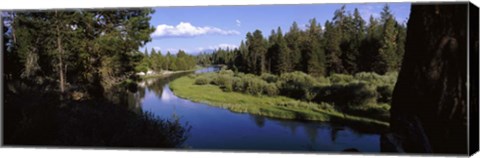 Framed River at Don McGregor Viewpoint, Oregon Print