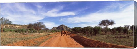 Framed Elephant in Tsavo East National Park, Kenya Print