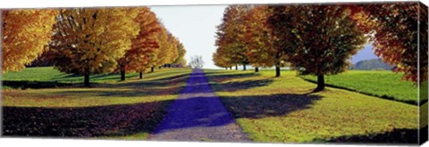 Framed Autumn Road, Storm King Mountain, New York Print