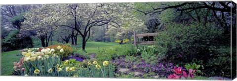 Framed Country garden, Old Westbury Gardens, Long Island Print