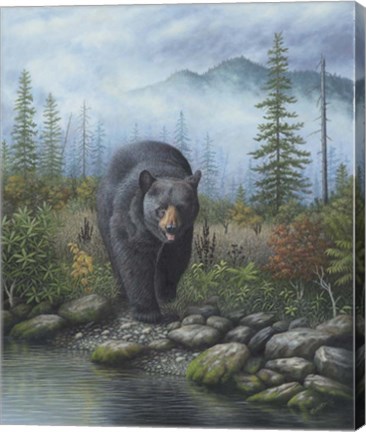 Framed Smoky Mountain Black Bear Print