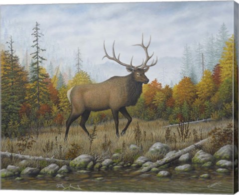 Framed Autumn Elk Print