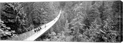 Framed Capilano Bridge, Suspended Walk, Vancouver, British Columbia, Canada BW Print