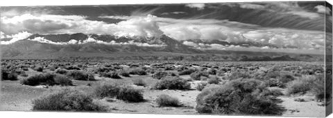 Framed Death Valley landscape, Panamint Range, Death Valley National Park, Inyo County, California Print