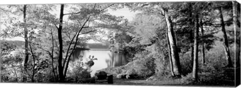 Framed Trees at the lakeside, Great Sacandaga Lake, Adirondack Mountains, NY Print