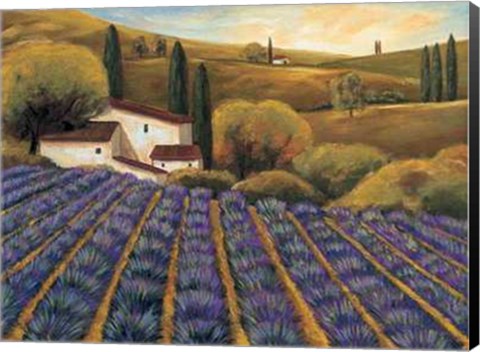 Framed Field of Lavender II Print