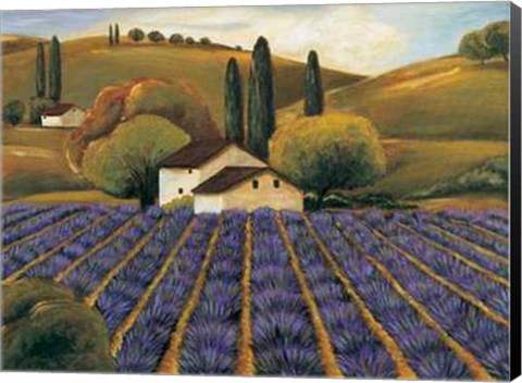 Framed Field of Lavender I Print