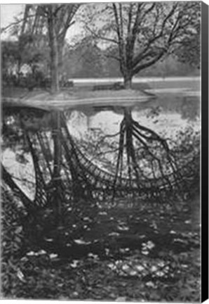 Framed Reflet de la Tour Eiffel, 1939 Print