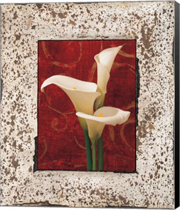 Framed Calla Lilies Print