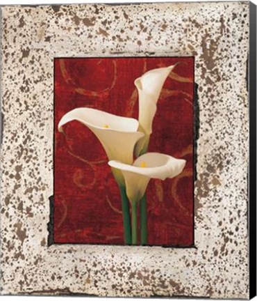 Framed Calla Lilies Print