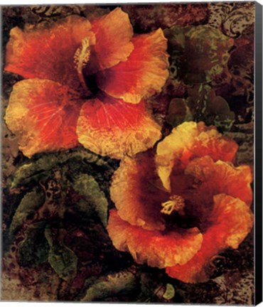 Framed Hibiscus I Print