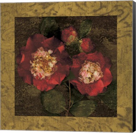 Framed Red Camellias II Print