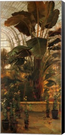 Framed Tropical House, Kew Gardens Print