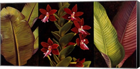 Framed Red Orchids and Palm Leaves Print