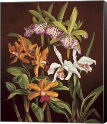 Framed Orchid Trio II Print