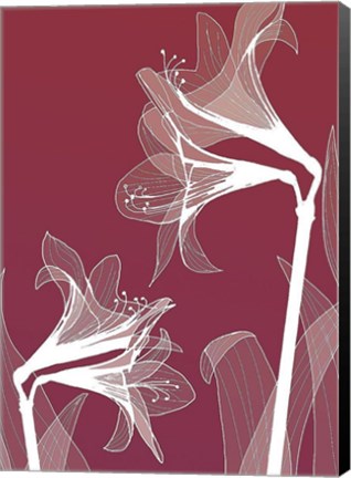 Framed X-ray Flowers Red Print