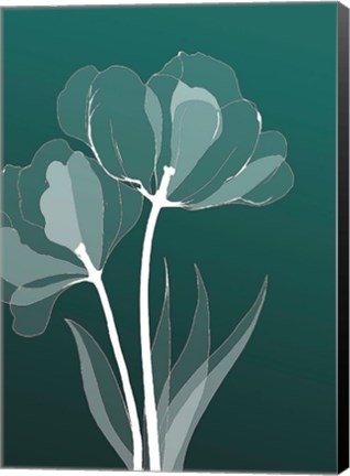 Framed X-ray Flowers Green Print