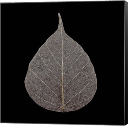 Framed Brown Leaf Print