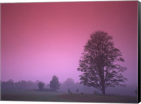 Framed Evening Fields Print