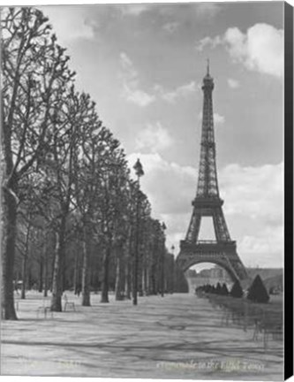 Framed Views of Paris Promenade to the Eiffel Print