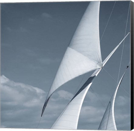 Framed Sails 2 Print