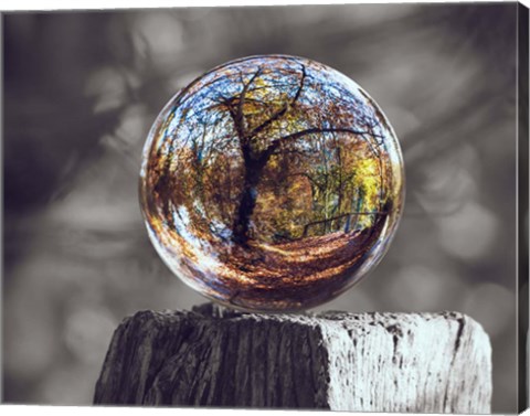 Framed Pop of Color Glass Sphere Print