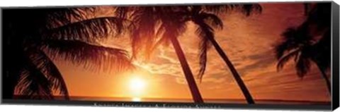 Framed Florida Sunset Print