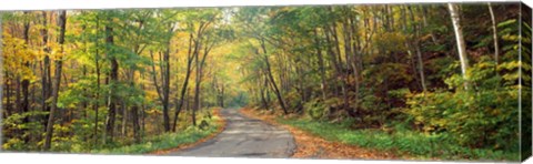 Framed Road passing through autumn forest, Golf Link Road, Colebrook, New Hampshire Print