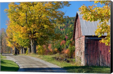 Framed Rural barn, farm in autumn, New Hampshire Print