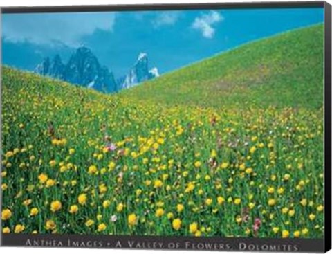 Framed Valley of Flowers, Dolomites Print