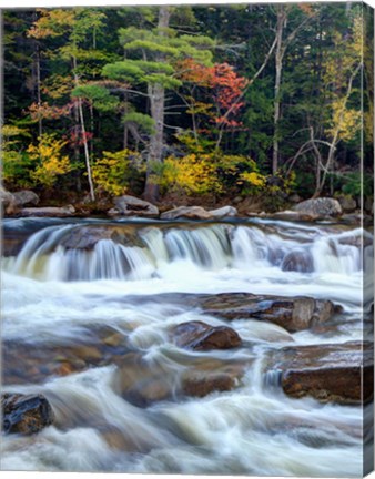 Framed Lower Swift River Falls, White Mountains, New Hampshire Print