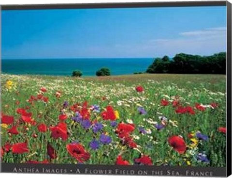 Framed Flower Field on the Sea, France Print