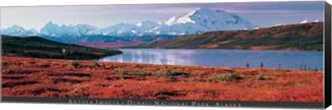 Framed Anonymous - Denali National Park, Alaska Size 54.5x19 Print