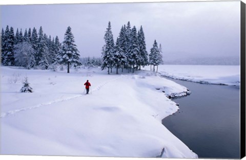 Framed Snowshoeing on the Shores of Second Connecticut Lake, Northern Forest, New Hampshire Print