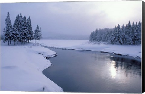 Framed Snow on the Shores of Second Connecticut Lake, Northern Forest, New Hampshire Print