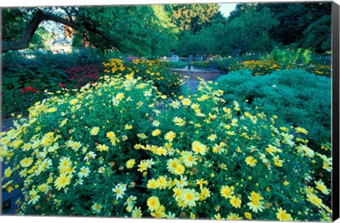 Framed Prescott Park Garden, New Hampshire Print