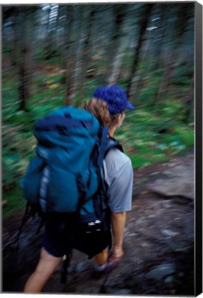 Framed Backpacking on Franconia Ridge Trail, Boreal Forest, New Hampshire Print