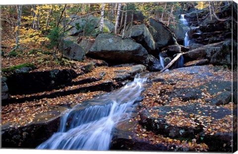 Framed Champney Brook in White Mountains, New Hampshire Print