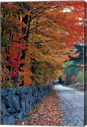 Framed Fall Colors in the White Mountains, New Hampshire Print