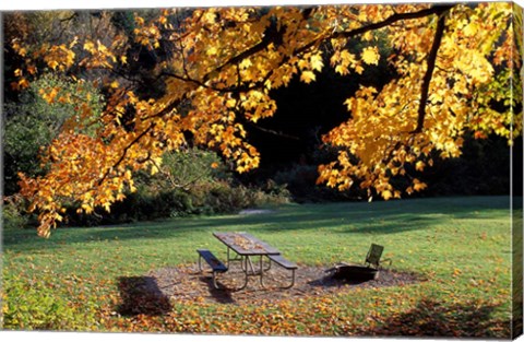 Framed Fall Foliage on Cohos Trail, Zealand Campground, Twin Mountain, New Hampshire Print